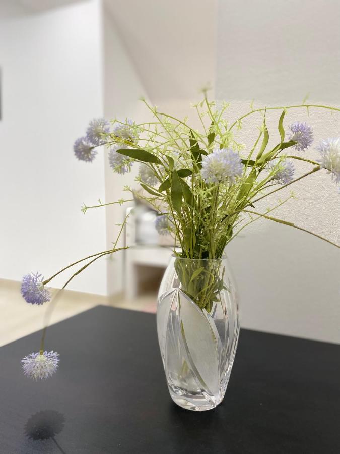 Apartma Azurre Postojna Buitenkant foto